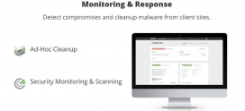 Scanare si monitorizare securitate site web